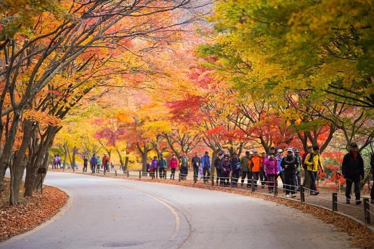 Top Road Trip Routes in South Korea for an Unforgettable Adventure 1 Top Road Trip Routes in South Korea for an Unforgettable Adventure