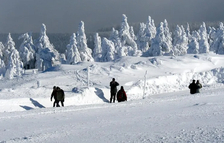 The Best Journey to Russsian Wilderness Takes Travelers Across Moscow and Into Siberian Territory 3 The Journey to Russsian Wilderness Takes Travelers Across Moscow and Into Siberian Territory
