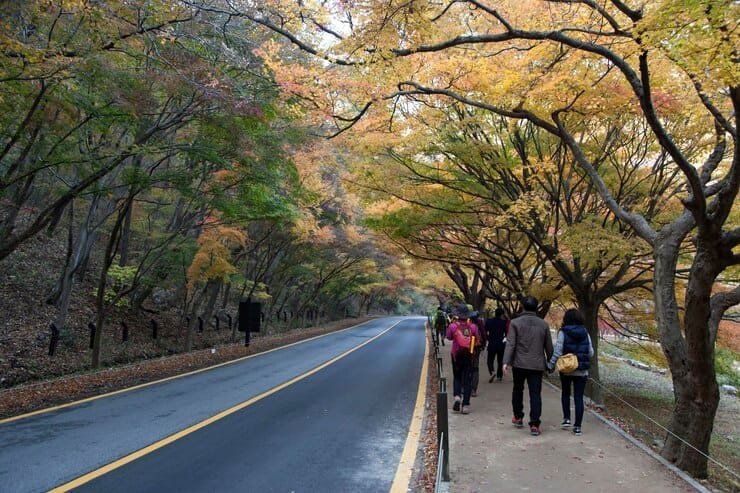 Top Road Trip Routes in South Korea for an Unforgettable Adventure 3 Top Road Trip Routes in South Korea for an Unforgettable Adventure